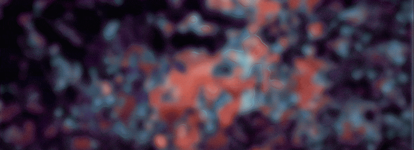 -GIFF_portadalow1-ezgif.com-optimize